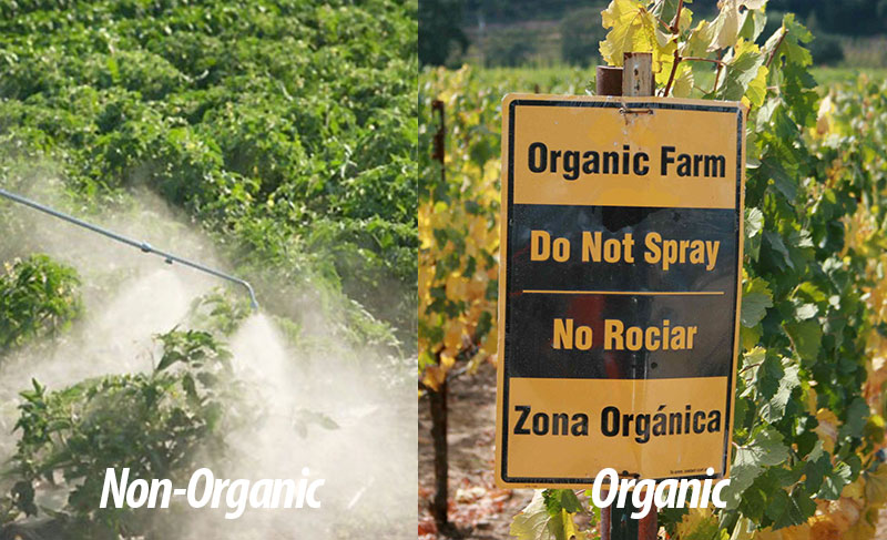 so whats the difference and which one is best for you?